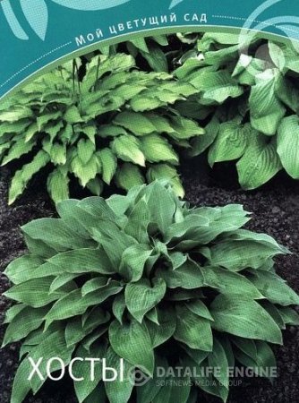 Обложка к Людмила Митронина. Хосты (2008) PDF