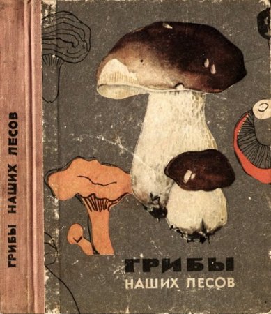 Обложка к К. В. Шульга, Э. И. Карклина - Грибы наших лесов (1966) DjVu