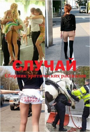 Обложка к Вот такой был случай... - Сборник эротических рассказов