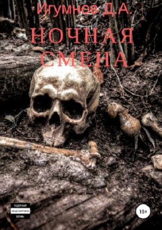 Обложка к Денис Игумнов. Ночная смена (2019)