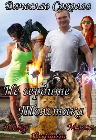 Обложка к Вячеслав Соколов. Не сердите толстяка (2019)