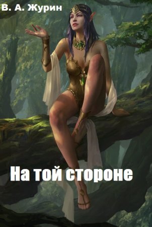 Обложка к В. А. Журин. На той стороне (2020)