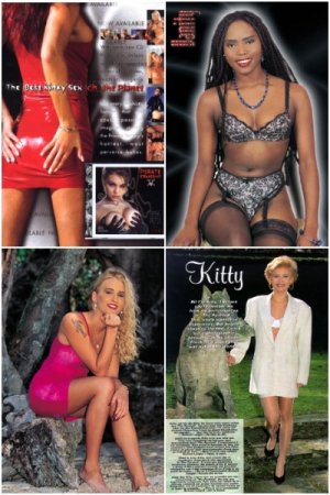 Обложка к Подшивка журнала - Private SeX Magazine за 1985-2010 год
