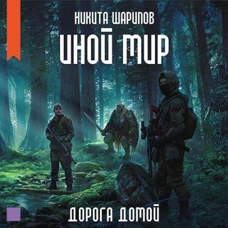 Обложка к Аудиокнига - Иной мир. Дорога домой (2022) Шарипов Никита