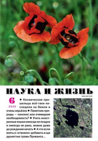 Обложка к Наука и жизнь №6 (июнь 2023)