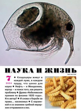 Обложка к Наука и жизнь №7 (июль 2024)